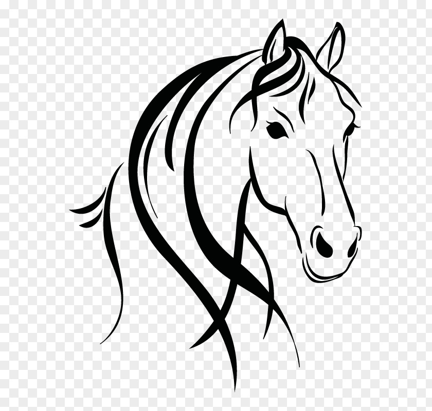 Horse Drawing Clip Art PNG