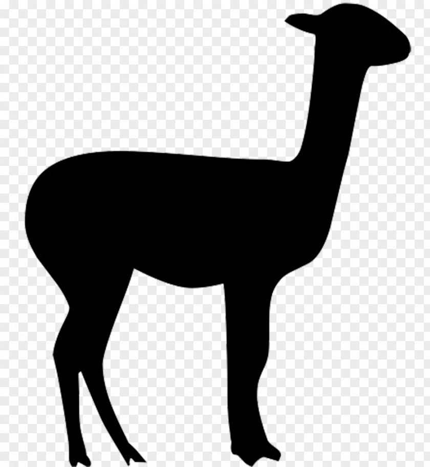 Silhouette Llama Alpaca Vicuña Clip Art PNG