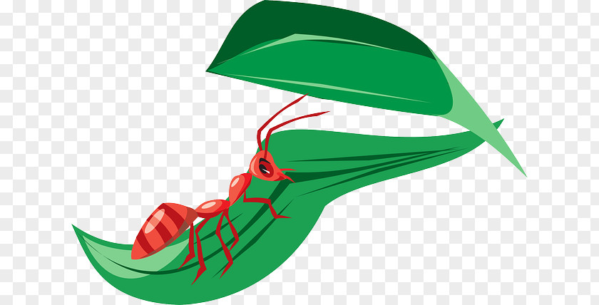 Student Download Ant Clip Art PNG