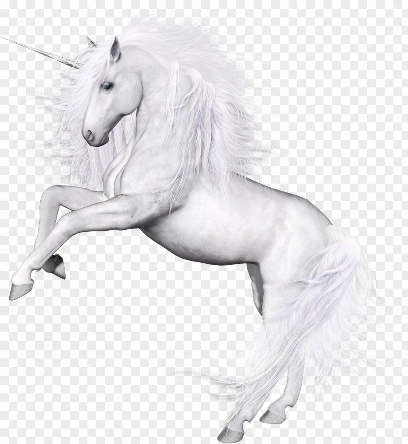 The Horse Exempts Unicorn Pegasus Clip Art PNG