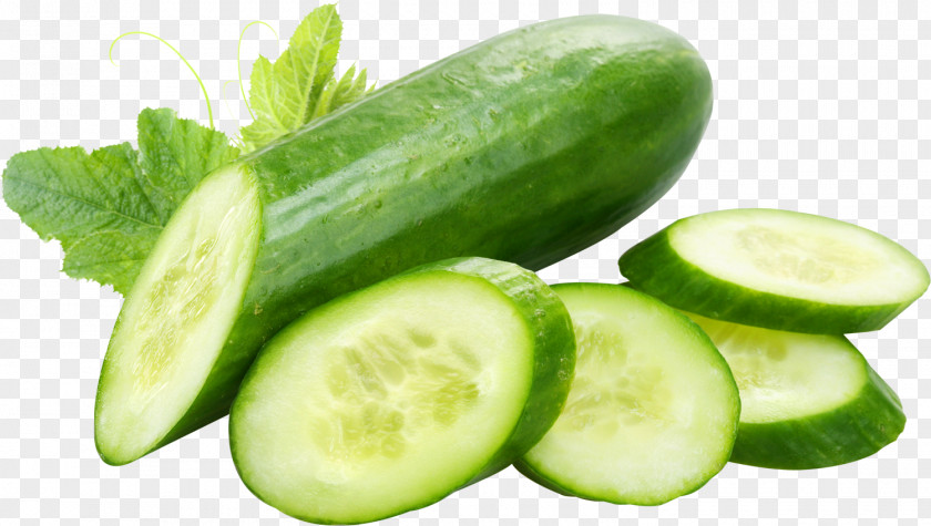 Cucumber Pickled Hamburger Tzatziki Vietnamese Cuisine PNG