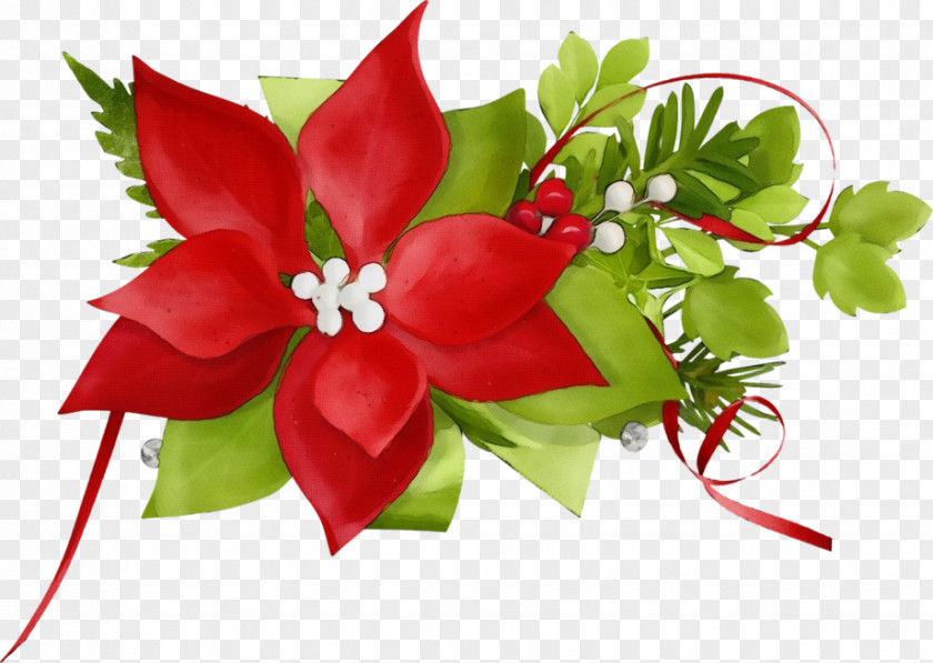 Floral Design PNG