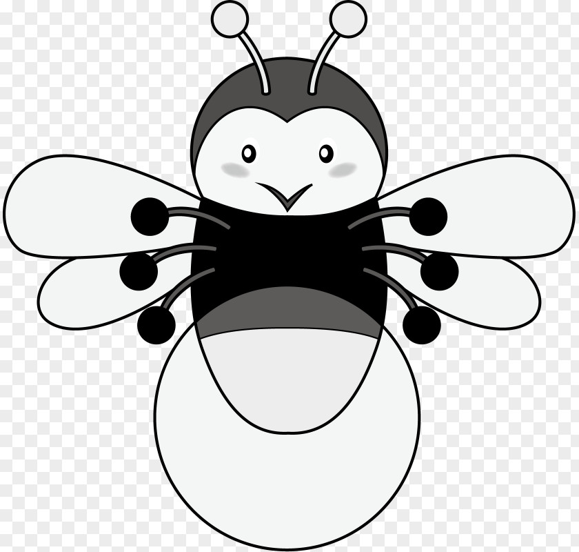 Illustration Clip Art Insect Cartoon Line PNG