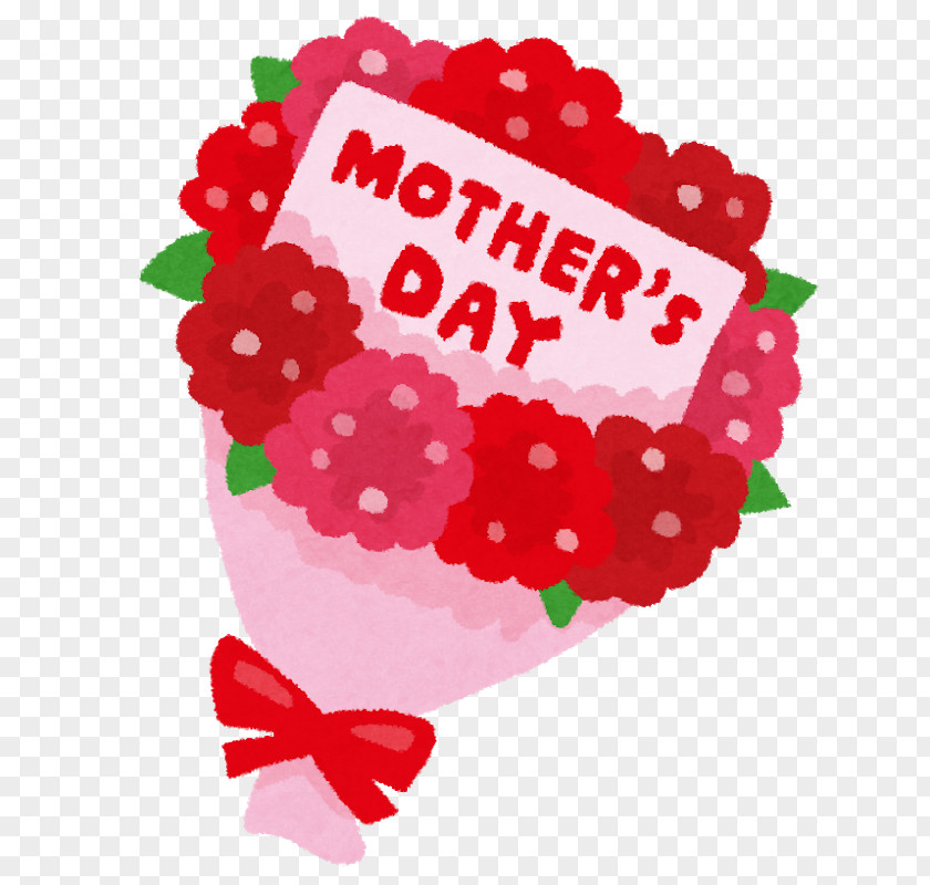 Mother's Day Nosegay Carnation Rose Gift PNG