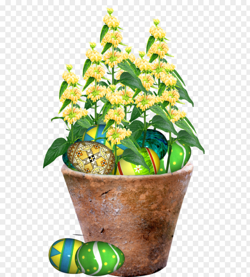 Easter Houseplant Flowerpot Photo Albums PNG