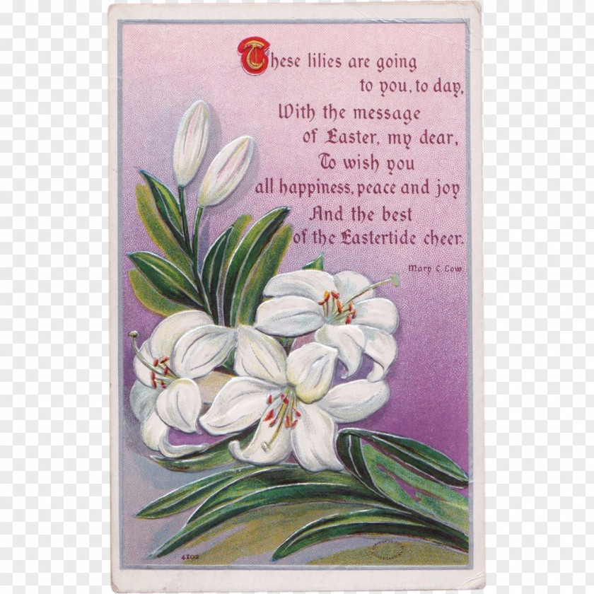 Flower The Lilly Easter Lily Poetry To Read A PNG
