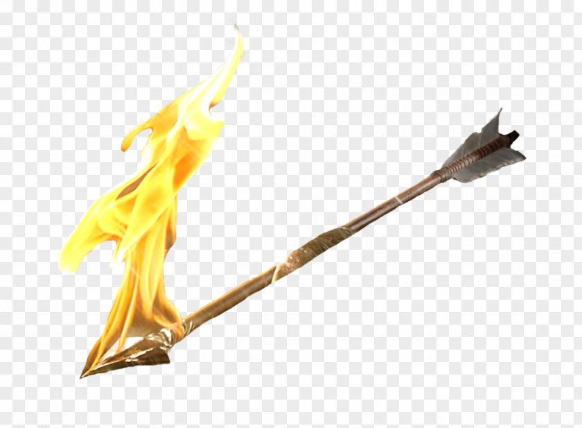 Frie Fire Arrow Flame PNG