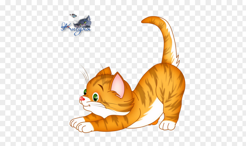 Kitten Tabby Cat Whiskers Wildcat Clip Art PNG