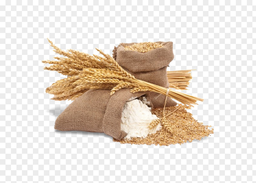 Flour Organic Food Atta Ingredient Whole Grain PNG