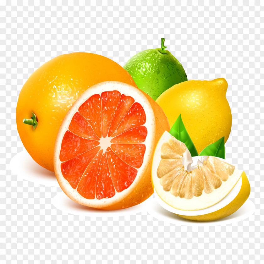 Fresh Grapefruit Citrus And Lemon Vector Material Royalty-free Illustration PNG