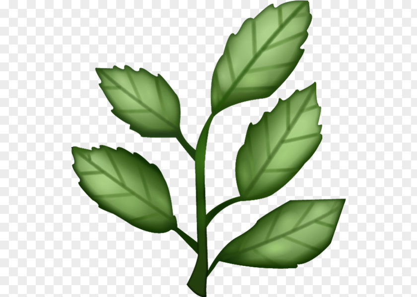 Herb IPhone Emoji Sticker PNG