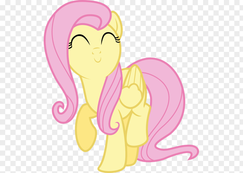 Pony Fluttershy Rainbow Dash Equestria PNG