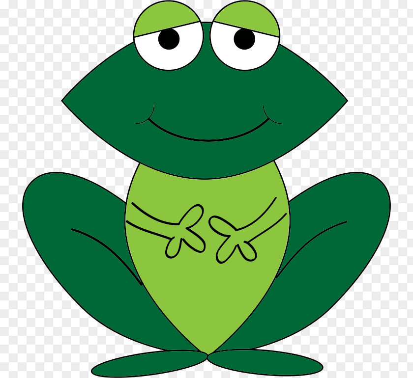 Amphibian Frog Cartoon Drawing PNG