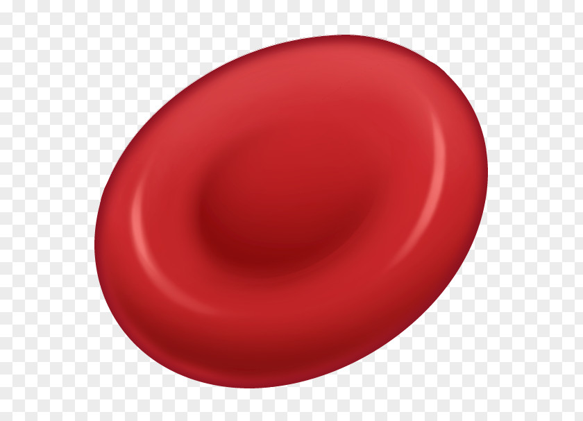 Cell Red Blood Nucleus PNG