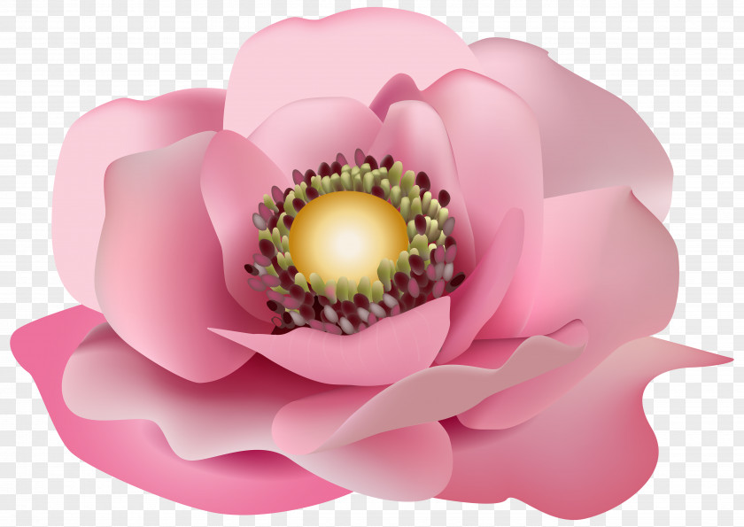 Flower Pink Transparent Clip Art Image Flowers PNG