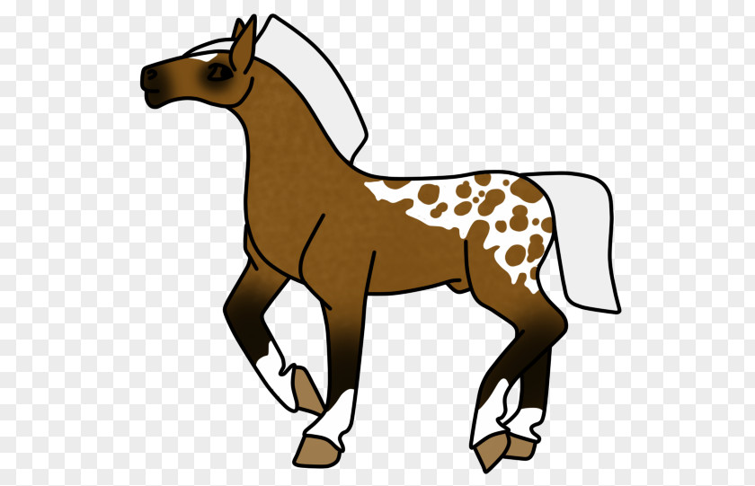 Giraffe Mule Mane Mustang Donkey PNG