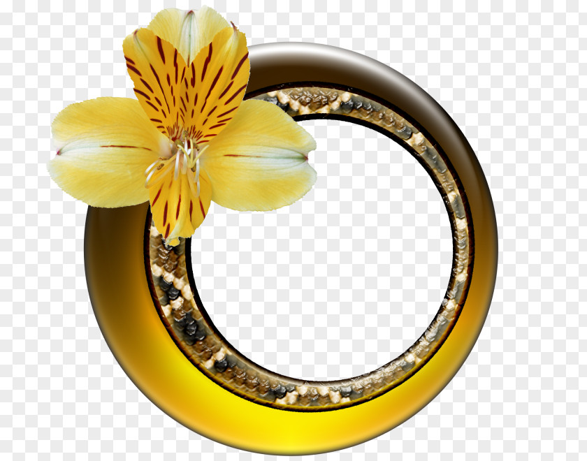Gold Flower Picture Frames Clip Art PNG