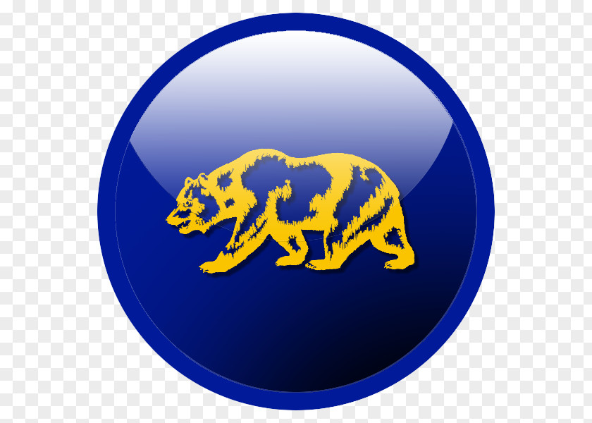 Now We Are Six California Performance Test Workbook: Preparation For The Bar Exam Examination Grizzly Bear PNG