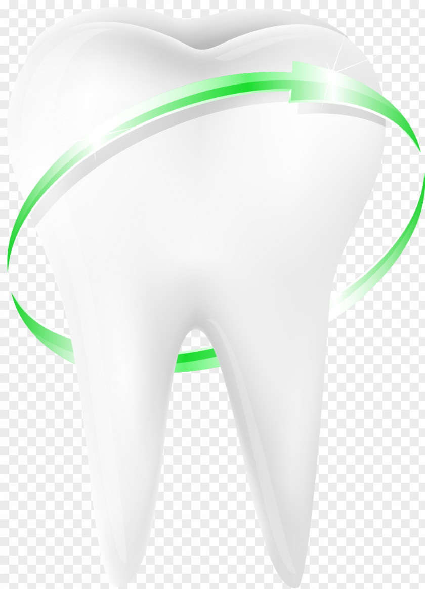 Vector Painted Teeth Tooth Euclidean PNG