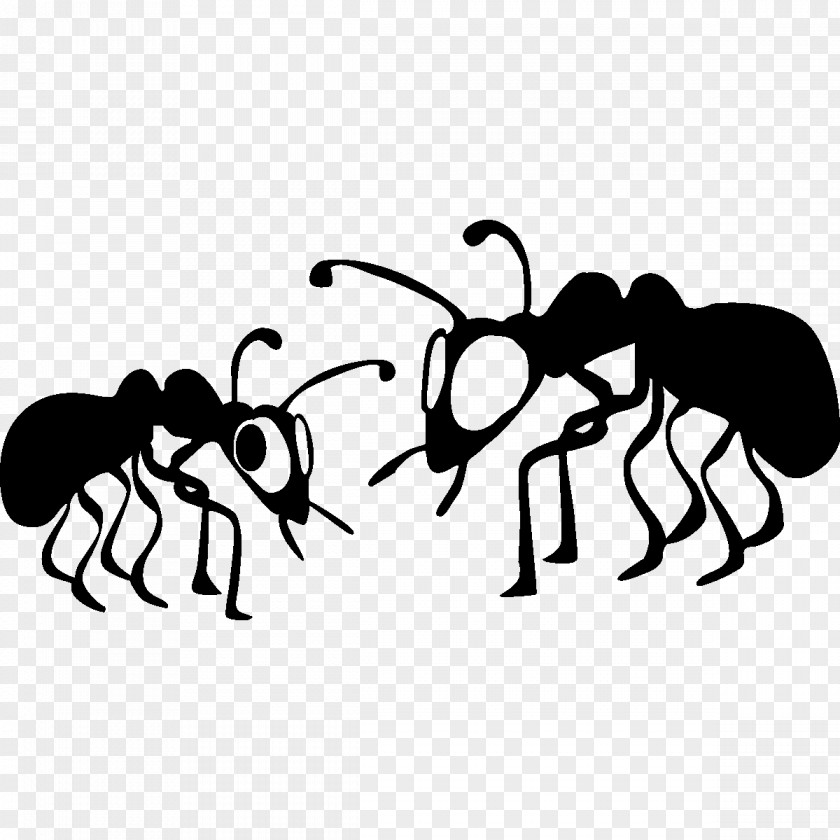 Ants Ant Clip Art PNG