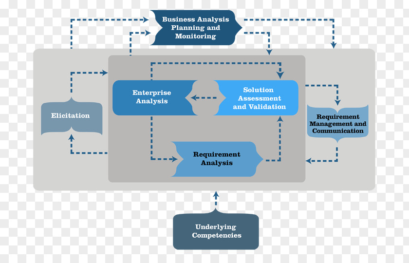 Business Analysis A Guide To The Body Of Knowledge International Institute Analyst Process PNG
