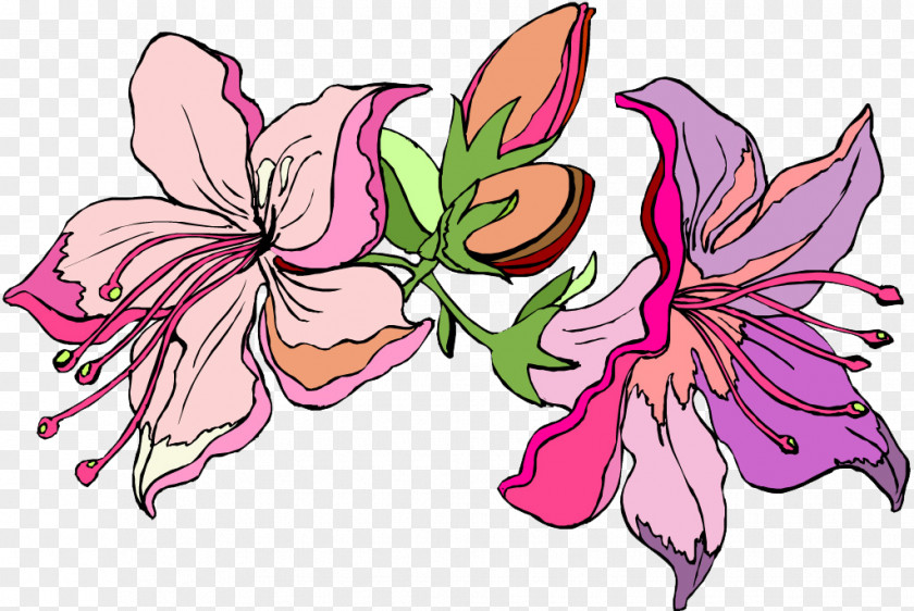 Lily Floral Design Lilium Clip Art PNG