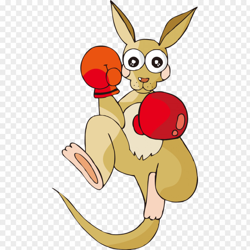 Boxing Cartoon Kangaroo Macropodidae Illustration PNG