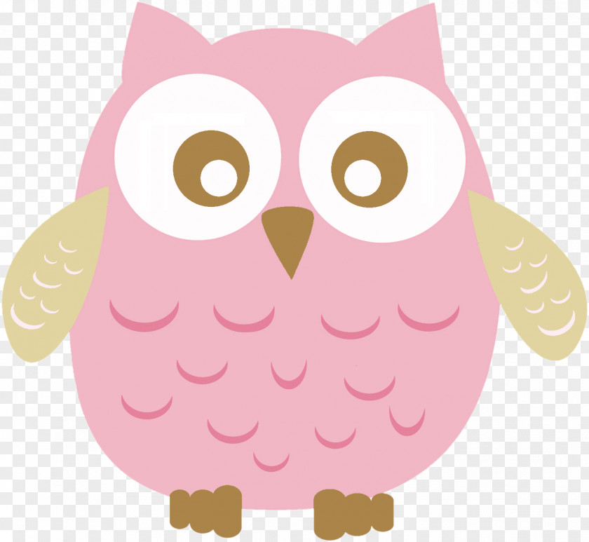 Buhos Little Owl Drawing Clip Art PNG