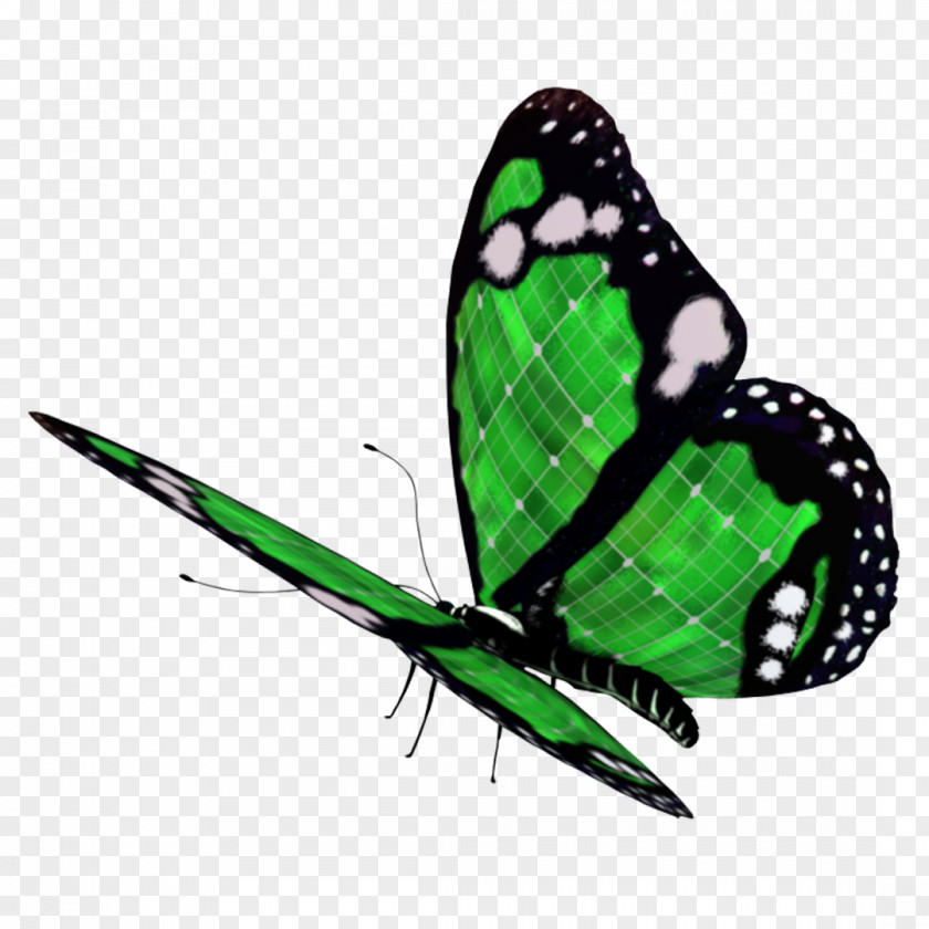 Chainsaw Butterfly Clip Art PNG