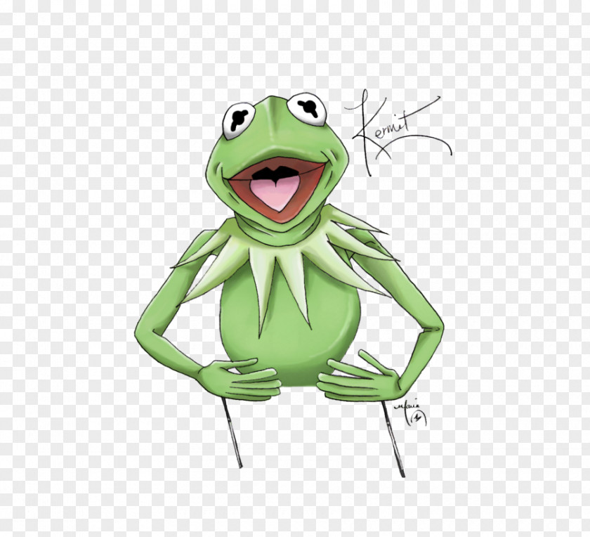 Frog Tree True Toad PNG