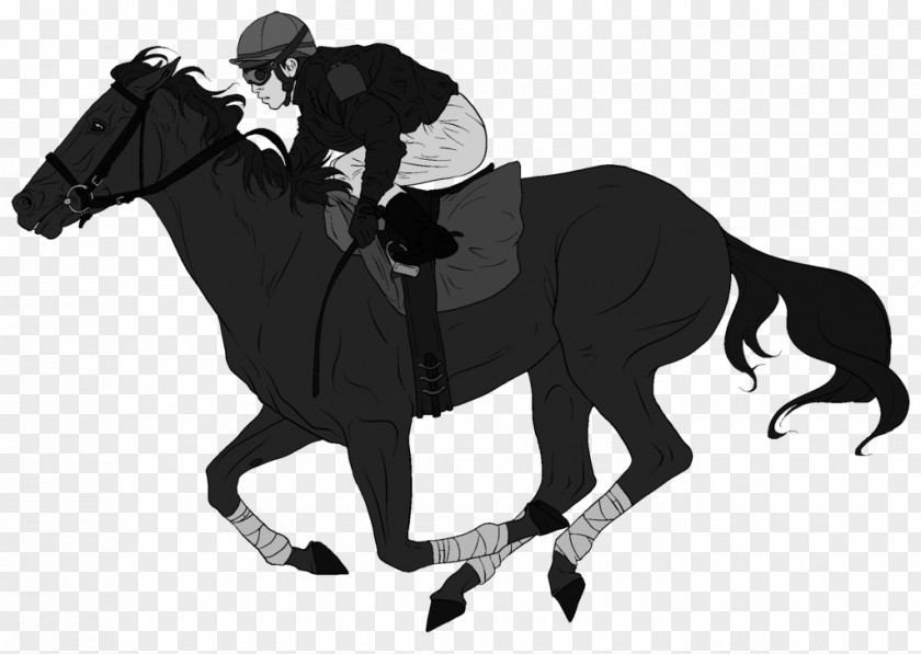 Horse Race Jockey Equestrian Stallion Pony PNG