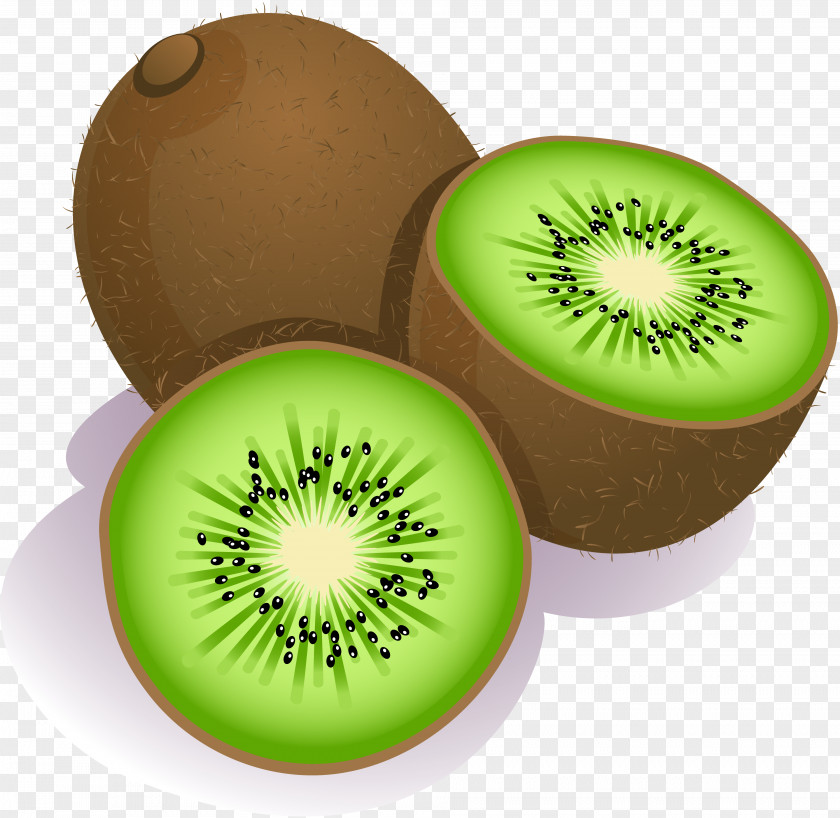 Kiwi Cartoon Kiwifruit Clip Art PNG