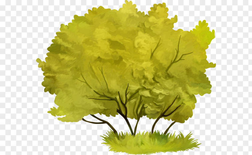 Tree Branch PNG