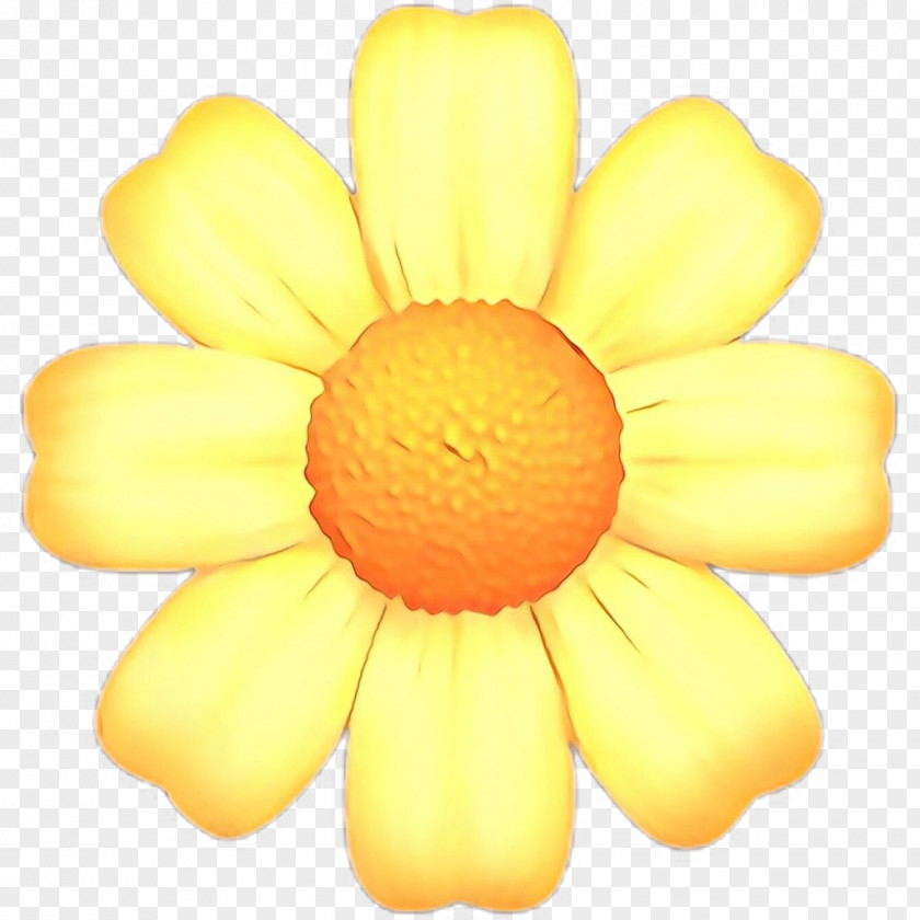 Yellow Petal Flower Plant Daisy Family PNG