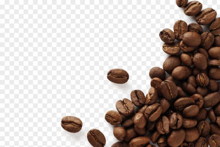 Black Beans Coffee Bean Espresso Cafe Kopi Luwak PNG