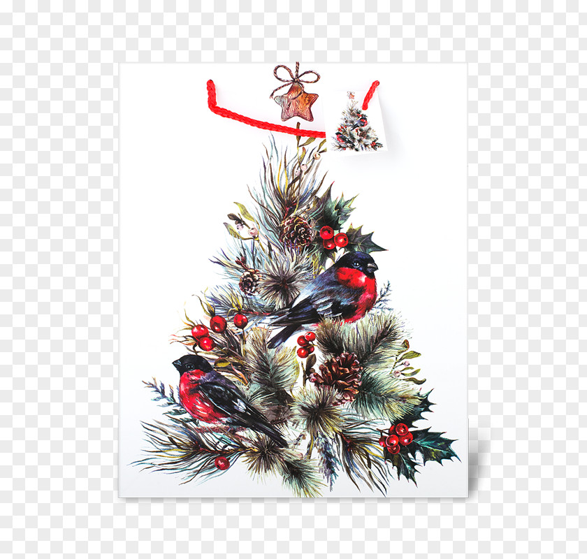 Christmas Tree Paper Fir Stock Photography PNG