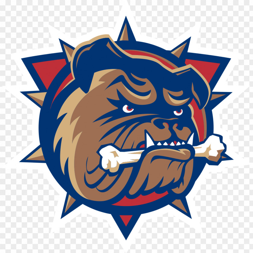 Dream FirstOntario Centre Hamilton Bulldogs American Hockey League Montreal Canadiens Ontario PNG