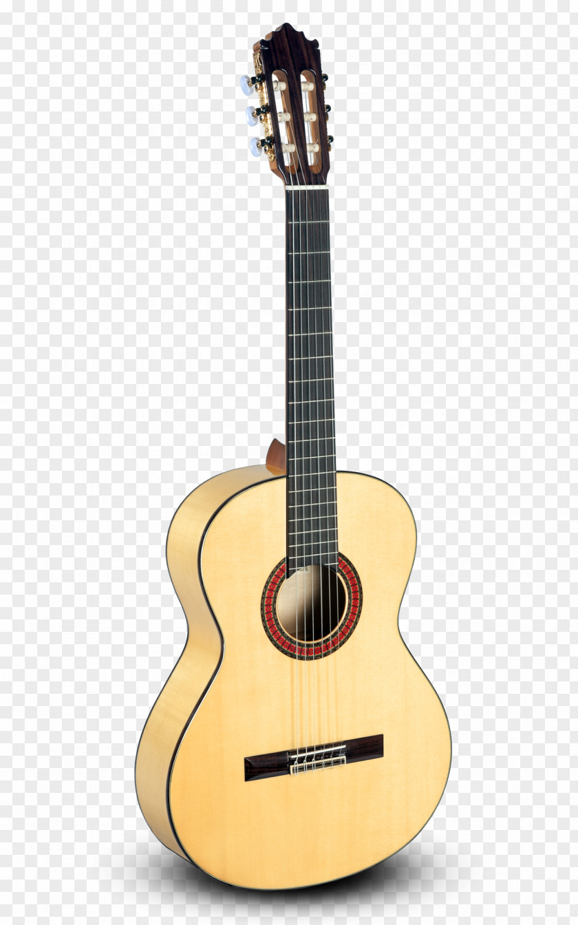 El Castillo Classical Guitar Acoustic-electric Takamine Guitars Acoustic PNG
