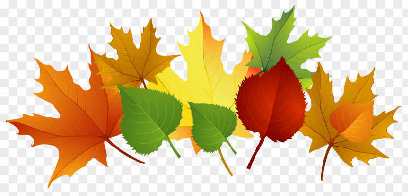 Fall Leaves Clipart Autumn Leaf Color Clip Art PNG