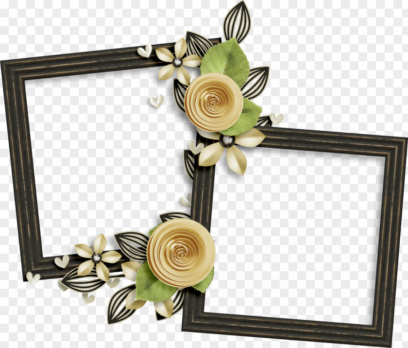 Frames Flower Picture Garden Roses Beach Rose PNG