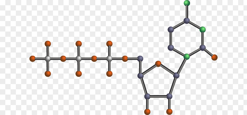 Genetic Testing Nucleic Acid Structure DNA And RNA PNG