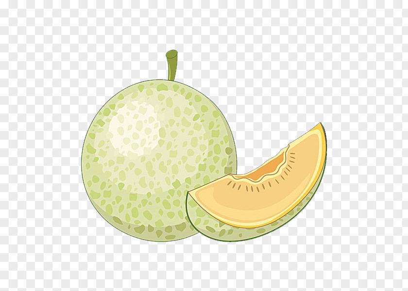 Hami Melon Material Cartoon PNG
