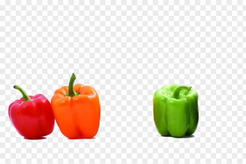 Material Vegetables Bell Pepper Chili Vegetable Color PNG