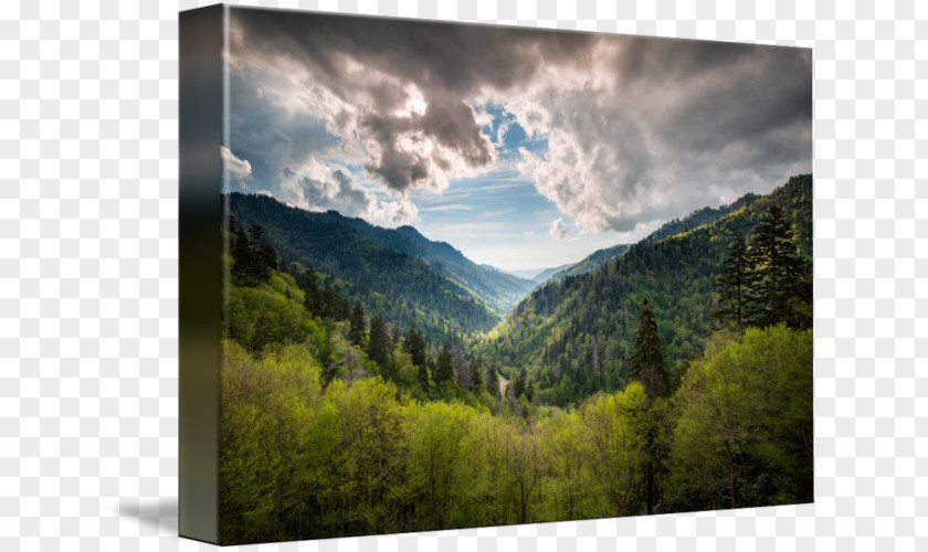 Smoky Morton Overlook Blue Ridge Parkway Sunset Drive Great Mountains National Park Gatlinburg PNG