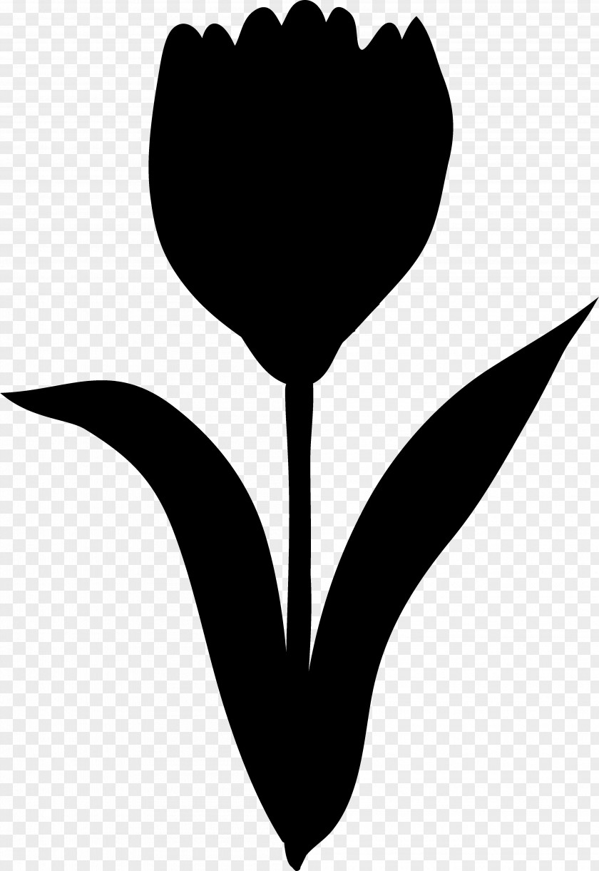 Tulip Clip Art Rose Family Leaf Plant Stem PNG