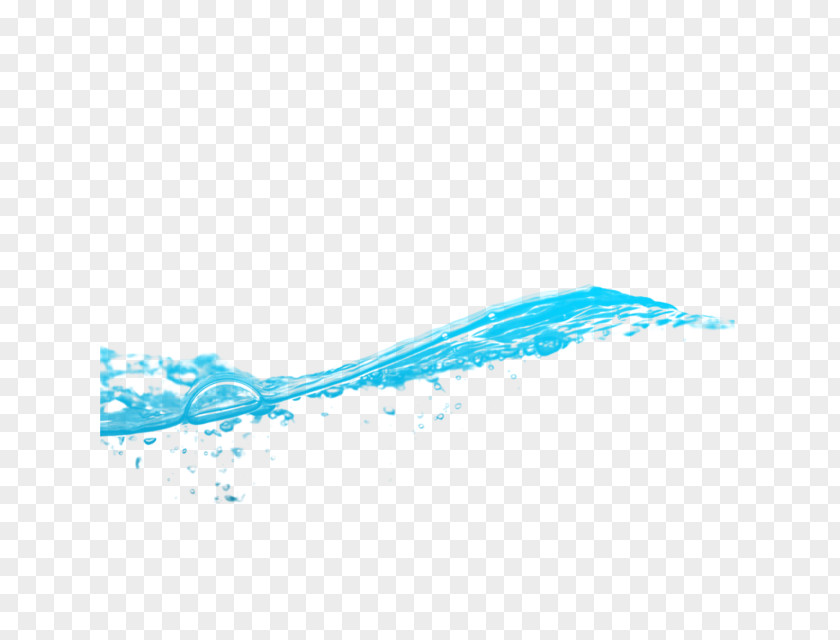 Water Seawater Drop PNG