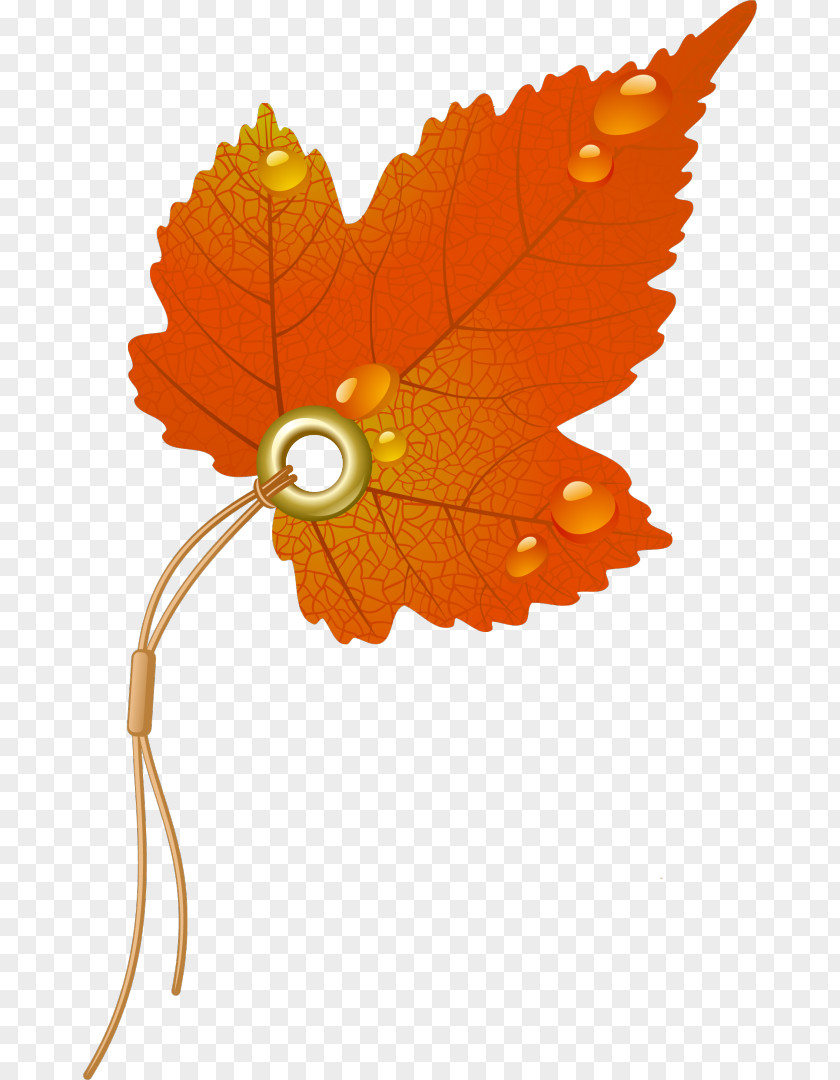 Autumn Leaf Color PNG