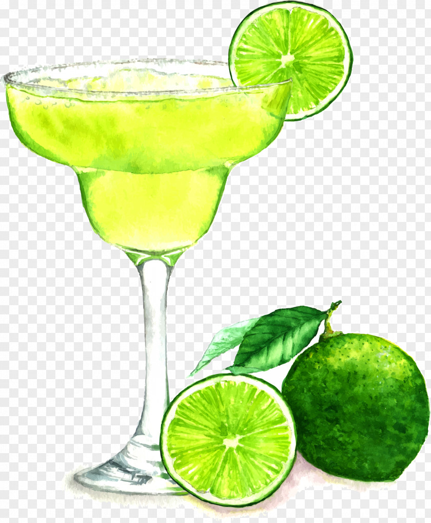 Cocktail Juice Margarita Drawing PNG