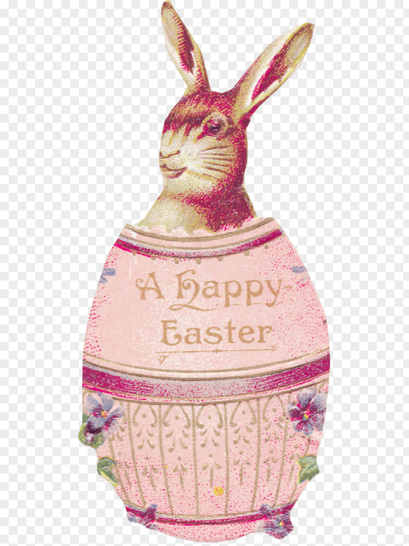 Cute Bunny Paper Easter Kangaroo PNG