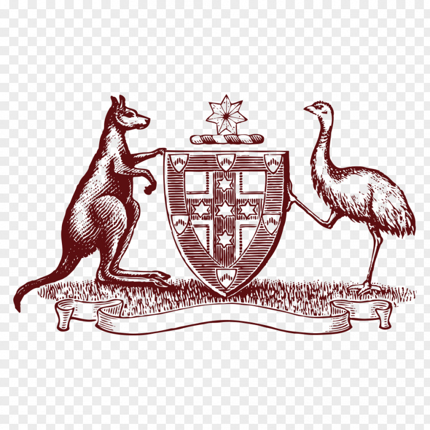 Ostrich Australia PNG